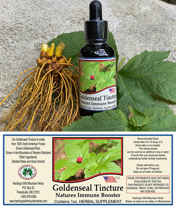 Goldenseal Tincture - Nature's Immune Booster - Herbal Supplement