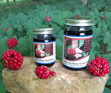 4oz and 8oz Jars of Ginseng Berry Concentrate