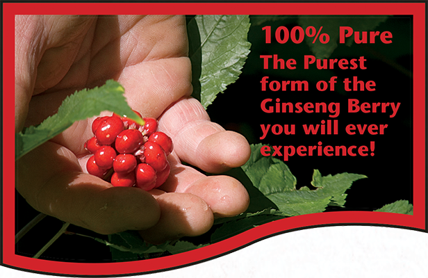 100% Pure - The Purest form of the Ginseng Berry you will ever experience!